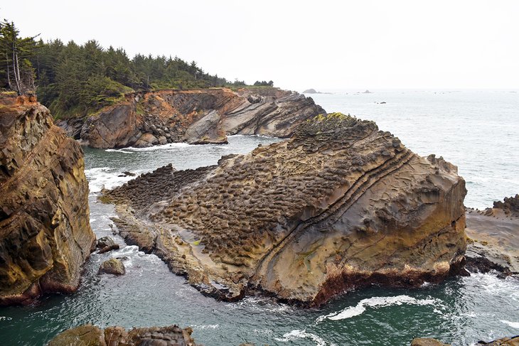 Cape Arago Highway