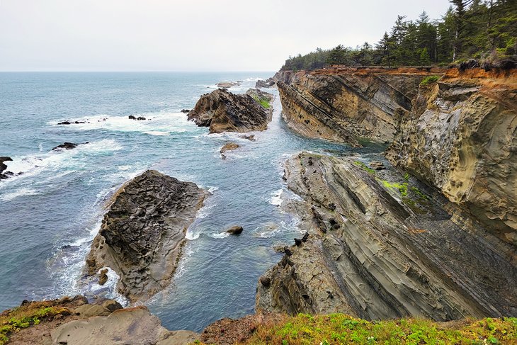 Shore Acres coastline