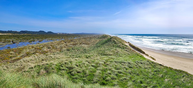 South Jetty Day-Use Area