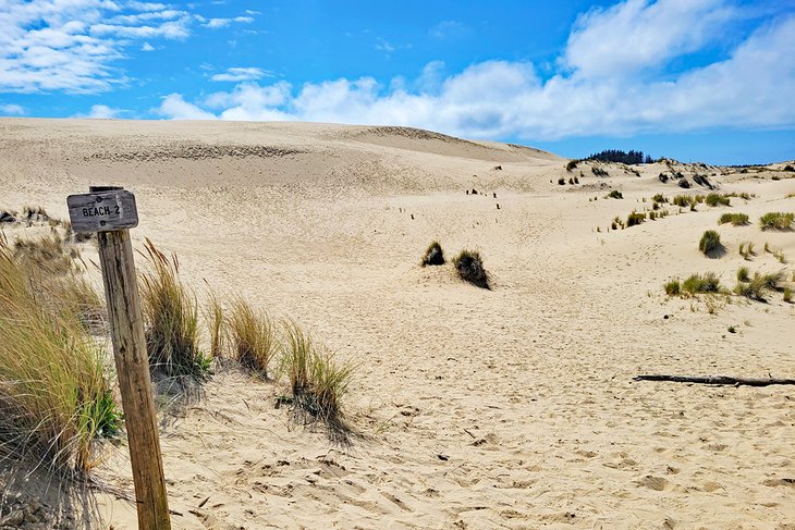 John Dellenback Dunes Trail