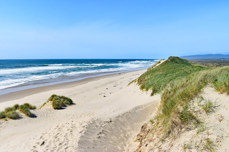 South Jetty Beach