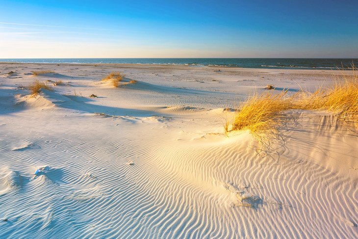Sand dunes in the Slowinski National Park