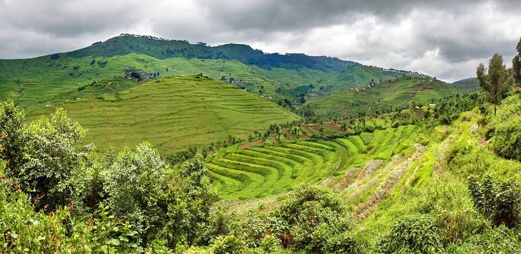 Gishwati Mukura National Park