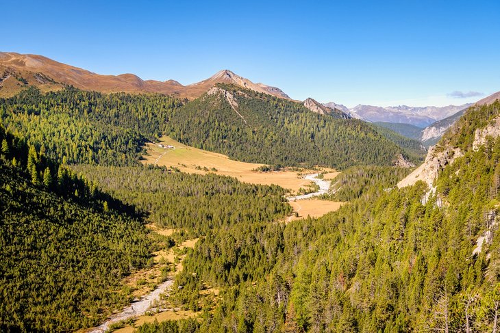 Swiss National Park