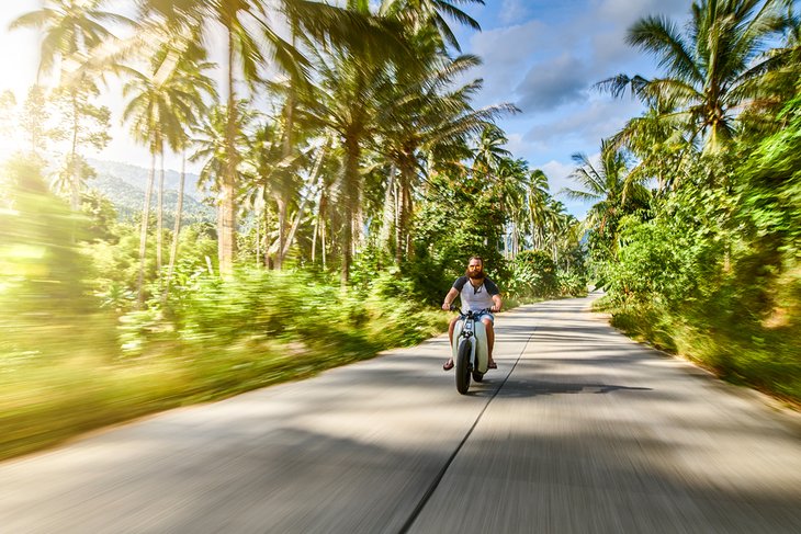 Scooter on a palm-lined road in Koh Samui