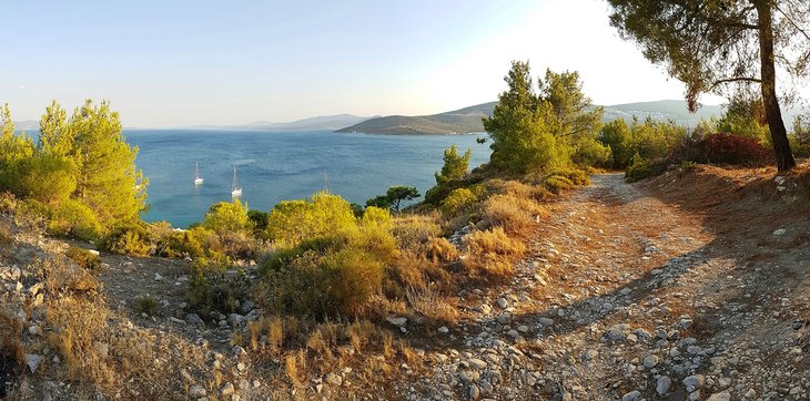 Scenery above Manal Cove