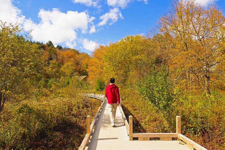 Trail to Thundering Falls, Killington