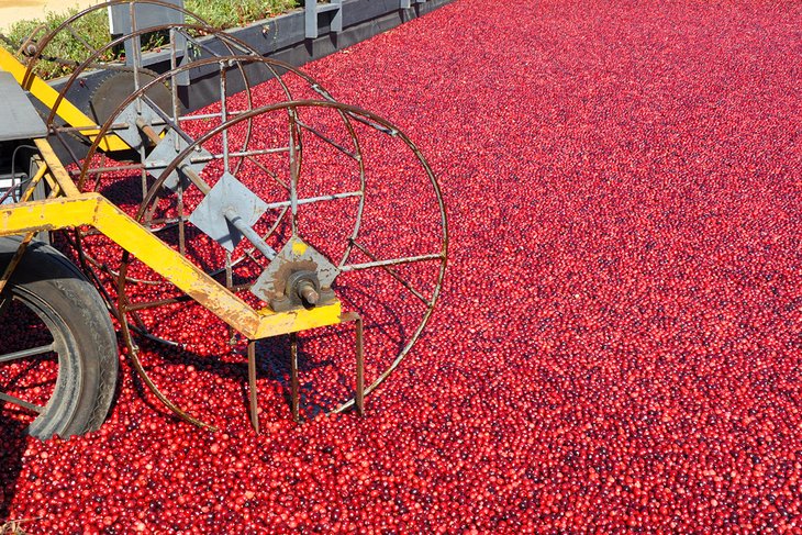 Cranberry Museum