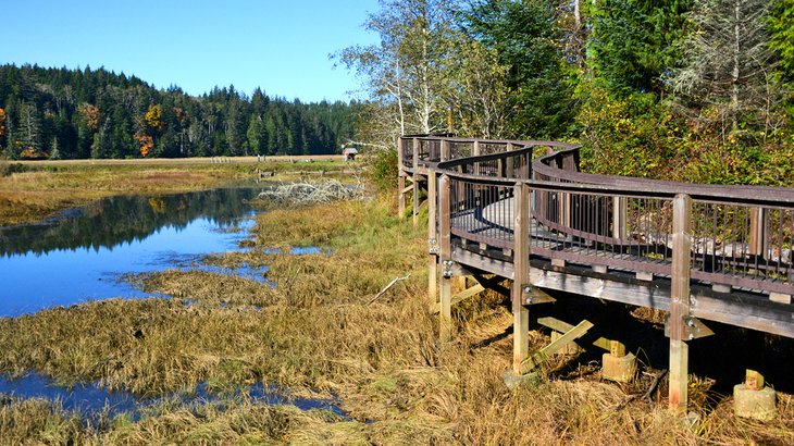 Willapa National Wildlife Refuge