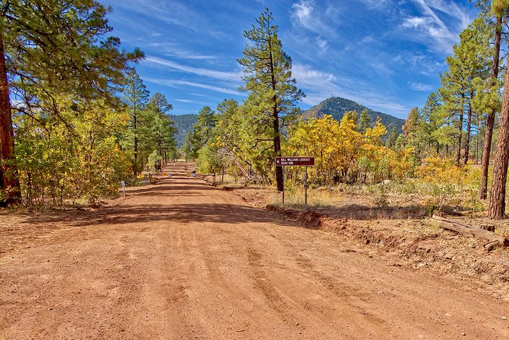 Bill Williams Mountain Road