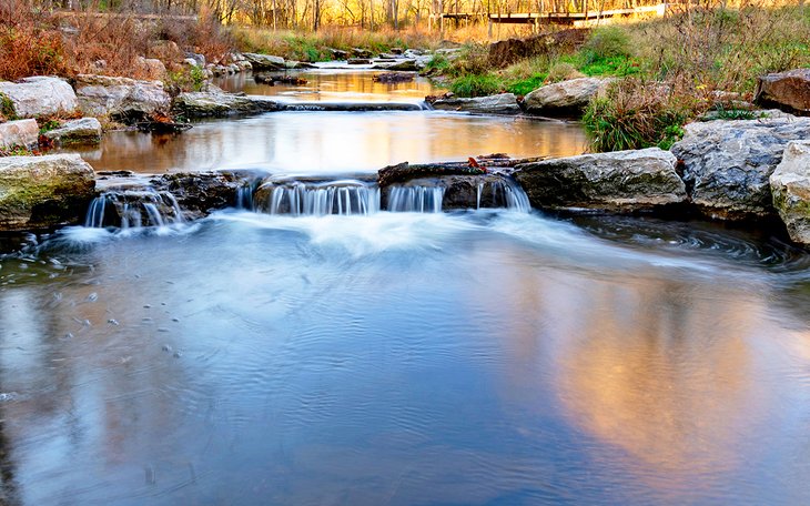 Coler Park  mountain bike preserve, Bentonville, Arkansas