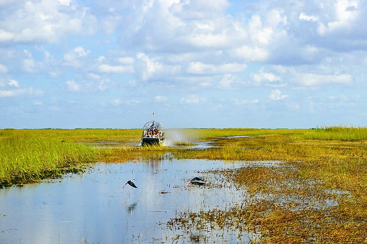 Airboat ride in the Florida Everglades