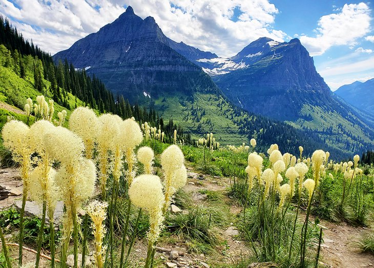 Glacier National Park