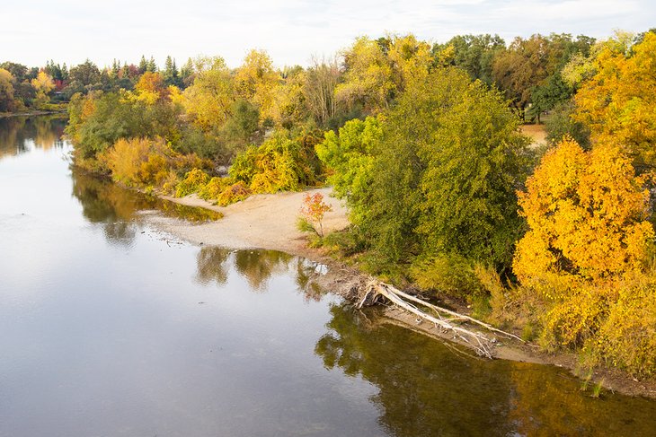 American River in the Fall