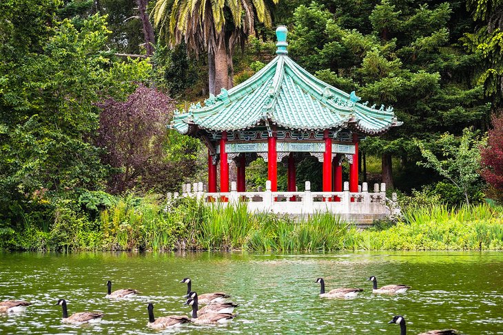 Chinese Pagoda at Stow Lake