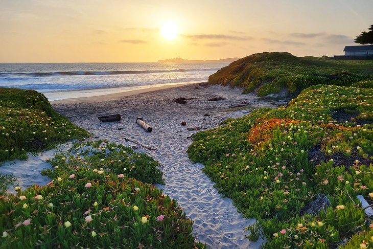 Half Moon Bay Coastside Trail