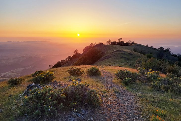 Mount Diablo State Park at sunset