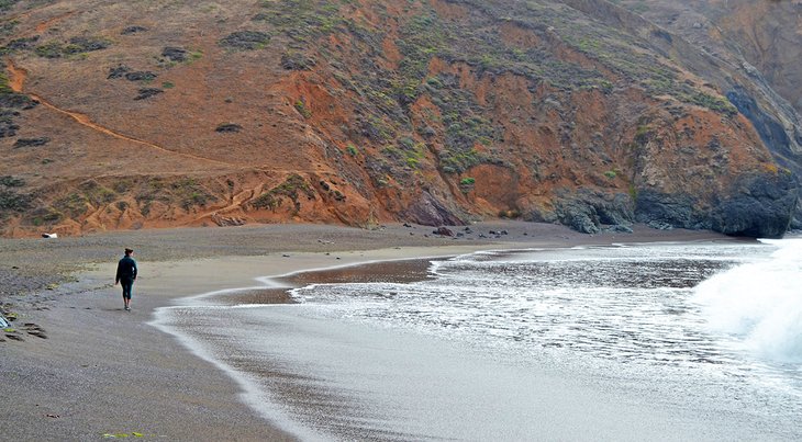 Beach on the Tennessee Valley Trail, Marin Headlands