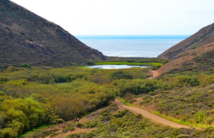 Tennessee Valley Trail, Marin Headlands