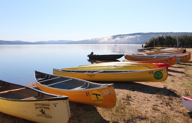 Canoes on the shore in Algonquin Provincial Park