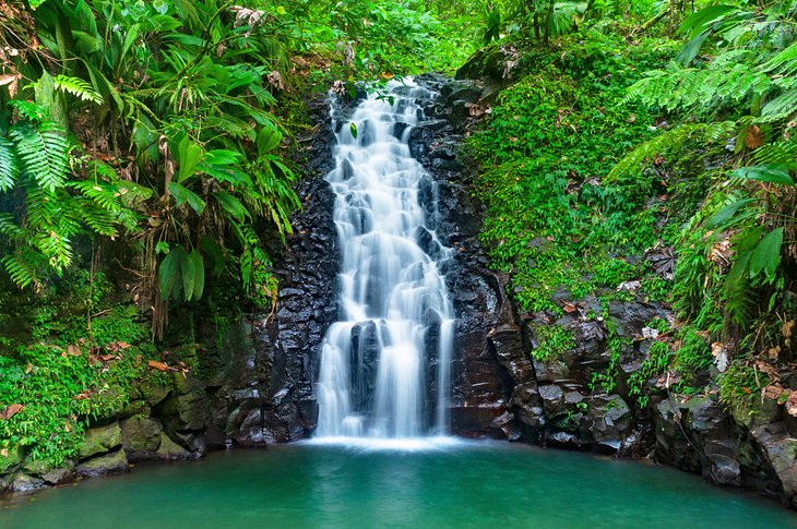 Tropical waterfall in Basse Terre, Guadeloupe