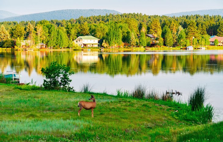 Idyllic lake scene in Pagosa Springs, Colorado