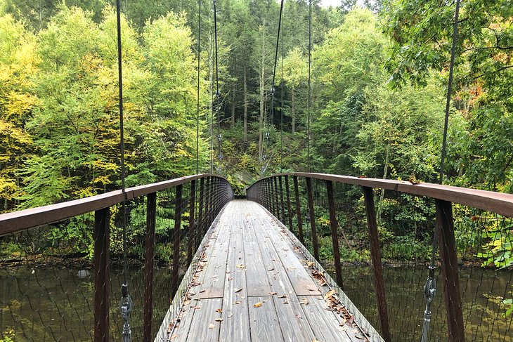 Henry David Thoreau Footbridge