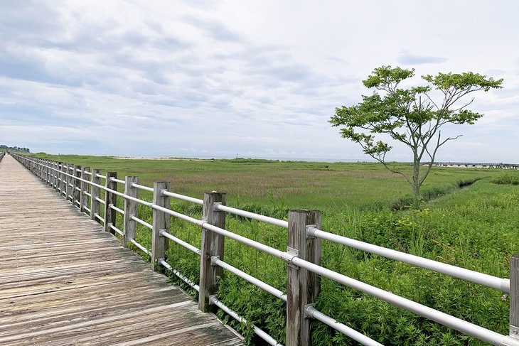 Boardwalk at Silver Sands State Park