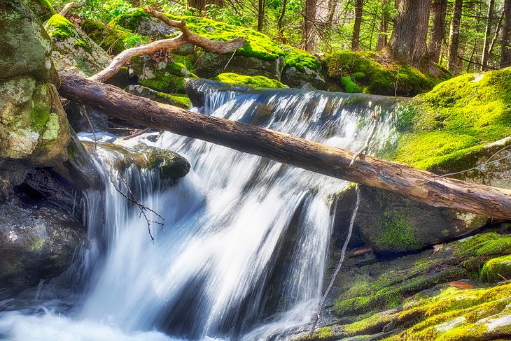 Humaston Brook State Park