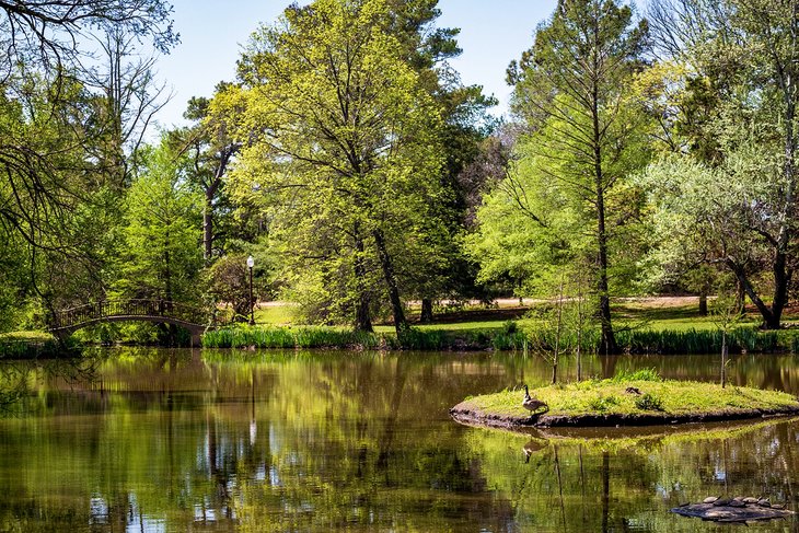 Bartlett Arboretum and Gardens