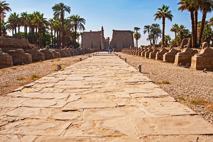 Avenue of the Sphinxes