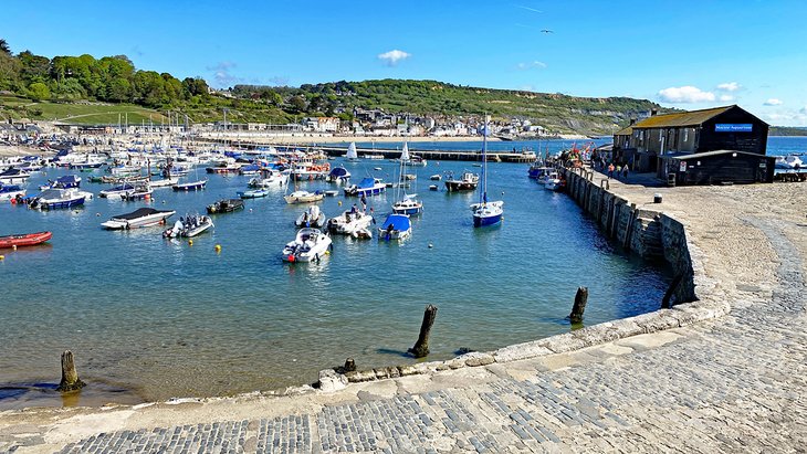 Lyme Regis Harbour