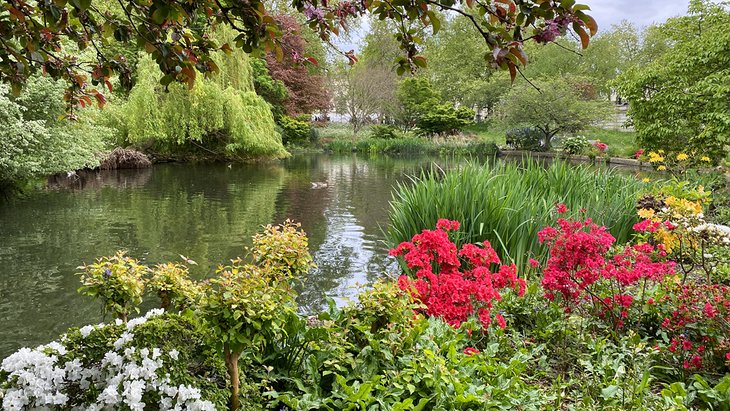Flowers blooming in St. James's Park