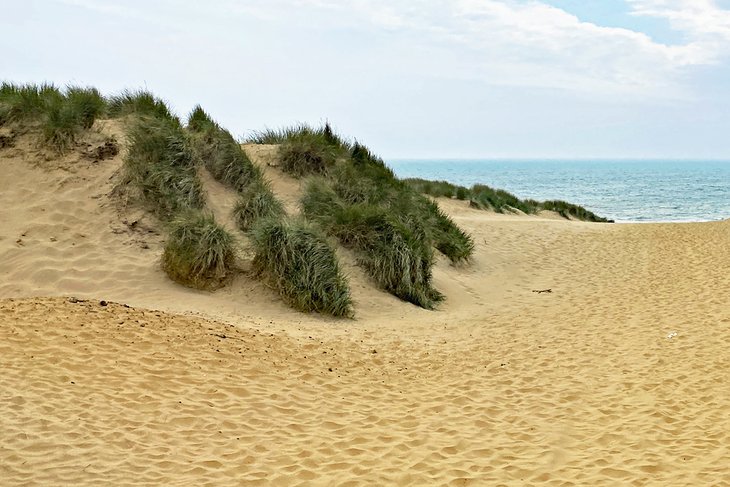 Camber Sands