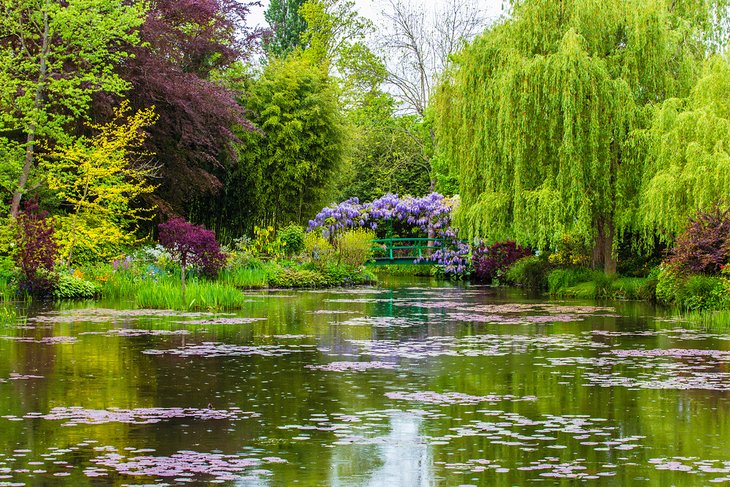 Monet's Garden in Giverny