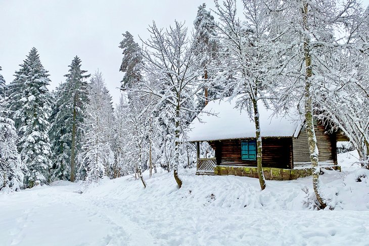 Cabin in the Black Forest near Baiersbronn