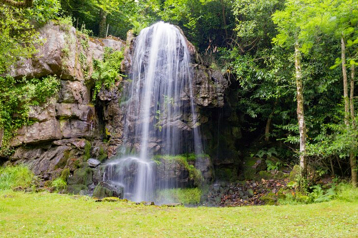 Kilfane Glen & Waterfall