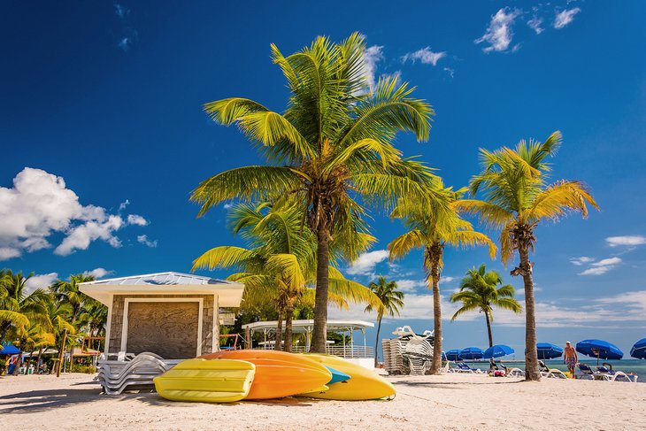 Palm trees on the beach in Key West