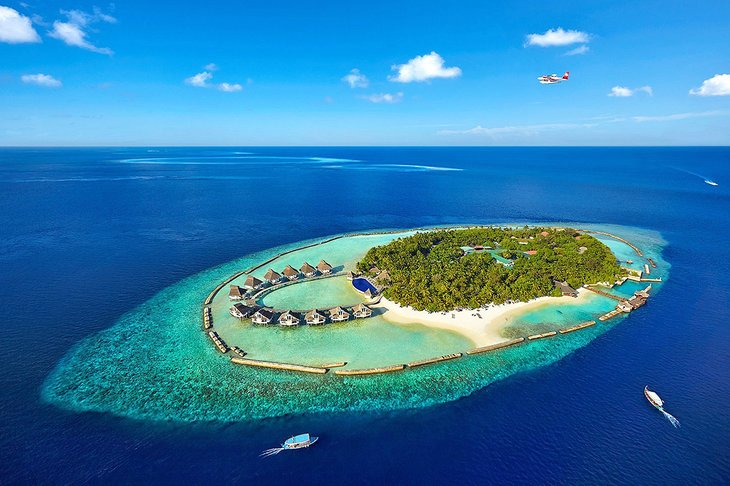 Photo Source: Ellaidhoo Maldives by Cinnamon