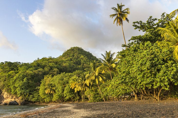 Anse Céron