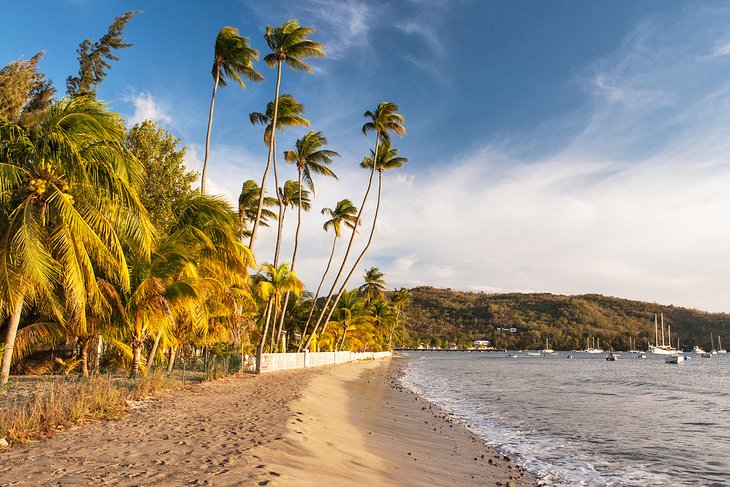 Grand Anse d'Arlet beach