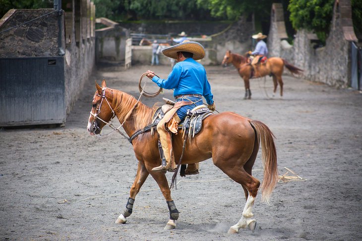 Charros