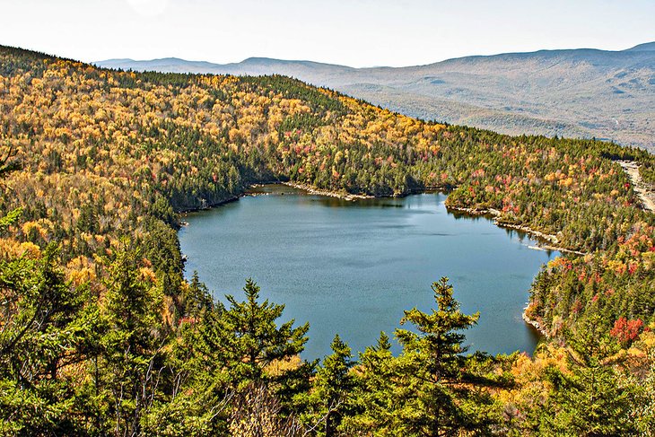 Loon pond atop Loon Mountain