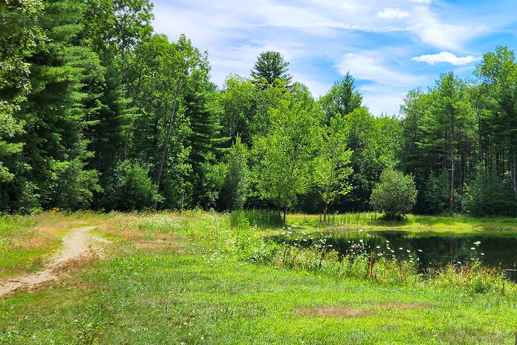 Nashua River Rail Trail