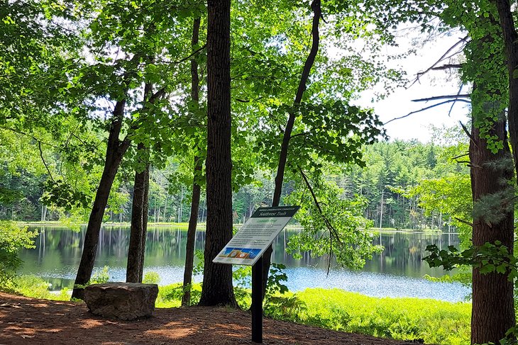 Lovewell Pond at Southwest Park