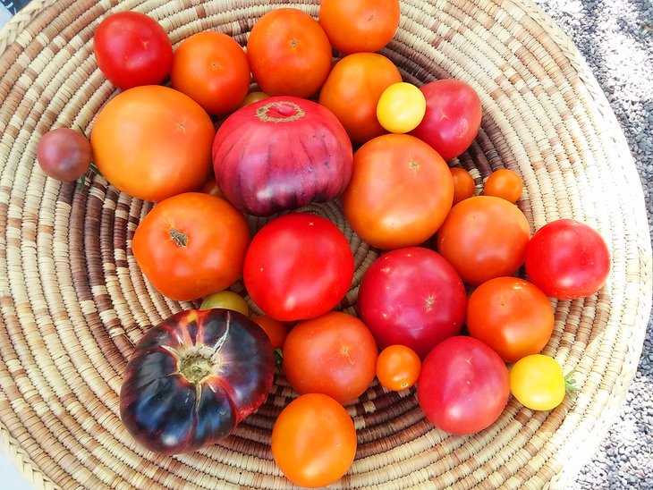 Heirloom tomatoes at the Santa Fe Farmers' Market