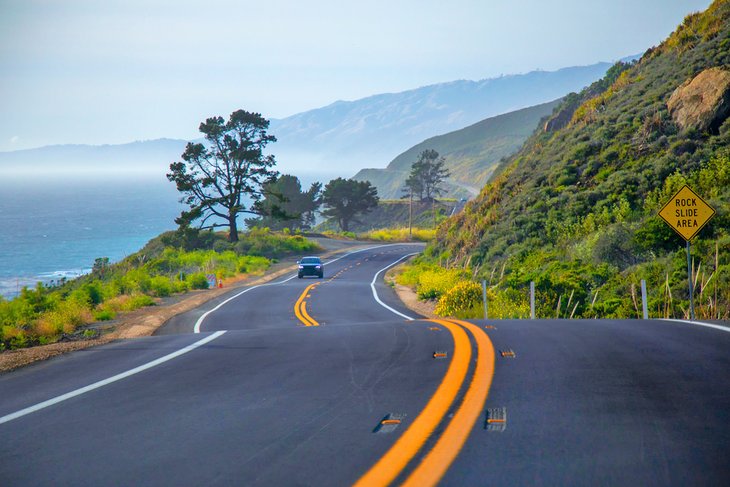 Road along the Northern California coast