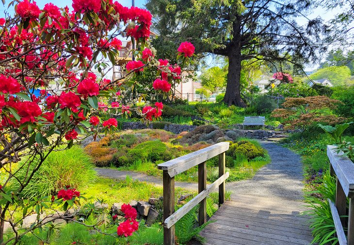 Connie Hansen Garden