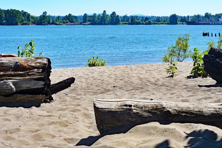 Collins Beach, Sauvie Island