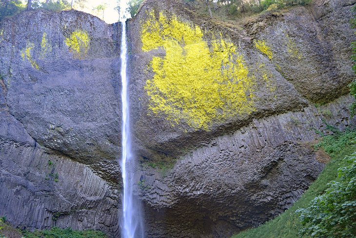 Latourell Falls